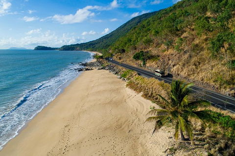 Daintree Rainforest, Cape Tribulation And Bloomfield Track Small Group Tour - Surfers Paradise Gold Coast 4
