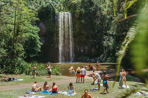 Atherton Tablelands Waterfalls And Rainforest Day Tour Departing Cairns - Surfers Paradise Gold Coast 4