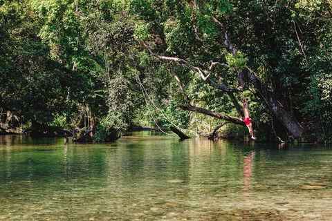 Atherton Tablelands Waterfalls And Rainforest Day Tour Departing Cairns - Surfers Paradise Gold Coast 3