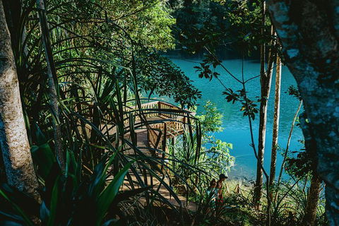 Atherton Tablelands Waterfalls And Rainforest Day Tour Departing Cairns - Surfers Paradise Gold Coast 5