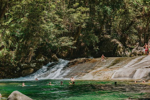 Atherton Tablelands Waterfalls And Rainforest Day Tour Departing Cairns - Surfers Paradise Gold Coast 8