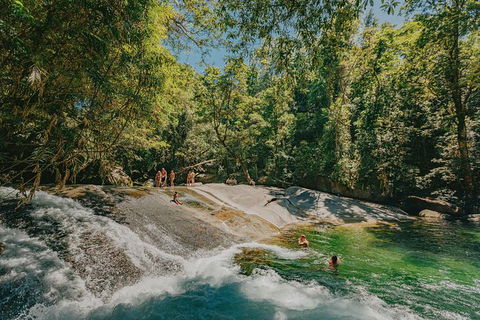 Atherton Tablelands Waterfalls And Rainforest Day Tour Departing Cairns - Surfers Paradise Gold Coast 0