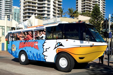 Aquaduck Gold Coast 1 Hour City And River Tour - Surfers Paradise Gold Coast 5