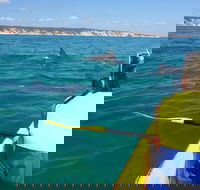 Kayak with Dolphins and 4WD Great Beach Drive Day Trip from Noosa - Surfers Paradise Gold Coast