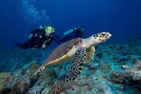 Great Keppel Island Day Trip Bundle From Yeppoon - Surfers Paradise Gold Coast 4