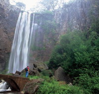 Brisbane Day in the Country Full-Day Small-Group Tour with Lunch - Surfers Paradise Gold Coast
