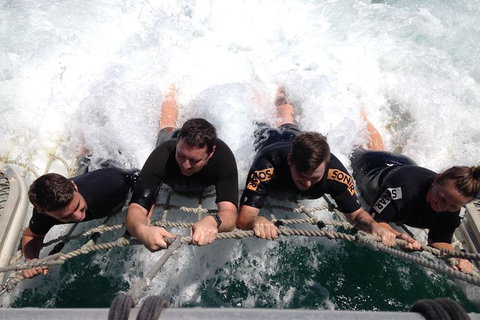 Eco Marine Safari - Boom Netting & Snorkeling Moreton Island - Roma St Transfers - Surfers Paradise Gold Coast 9