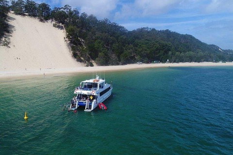 Eco Marine Safari - Boom Netting & Snorkeling Moreton Island - Roma St Transfers - Surfers Paradise Gold Coast 0