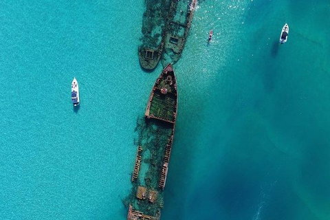 Eco Marine Safari - Boom Netting & Snorkeling Moreton Island - Roma St Transfers - Surfers Paradise Gold Coast 4