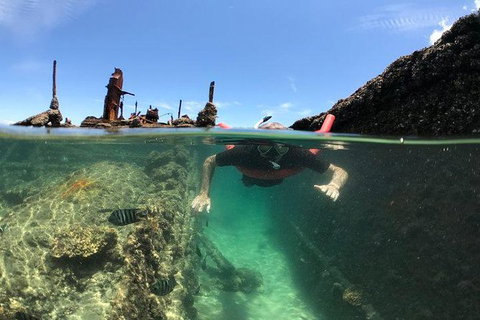 Eco Marine Safari - Boom Netting & Snorkeling Moreton Island - Roma St Transfers - Surfers Paradise Gold Coast 2