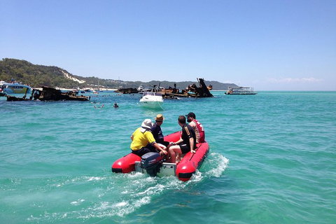 Eco Marine Safari - Boom Netting & Snorkeling Moreton Island - Roma St Transfers - Surfers Paradise Gold Coast 1
