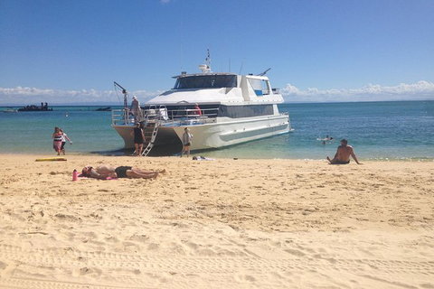 Eco Marine Safari - Boom Netting & Snorkeling Moreton Island - Roma St Transfers - Surfers Paradise Gold Coast 8