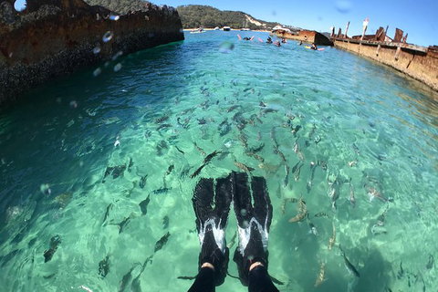 Eco Marine Safari - Boom Netting & Snorkeling Moreton Island - Roma St Transfers - Surfers Paradise Gold Coast 3