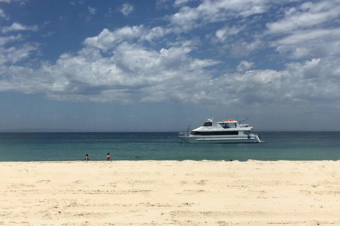 Eco Marine Safari - Boom Netting & Snorkeling Moreton Island - Roma St Transfers - Surfers Paradise Gold Coast 5
