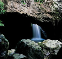 Springbrook National Park  Gold Coast Full Day Luxury Tour from Brisbane - Surfers Paradise Gold Coast
