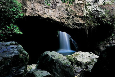 Springbrook National Park & Gold Coast Full Day Luxury Tour From Brisbane - Surfers Paradise Gold Coast 0