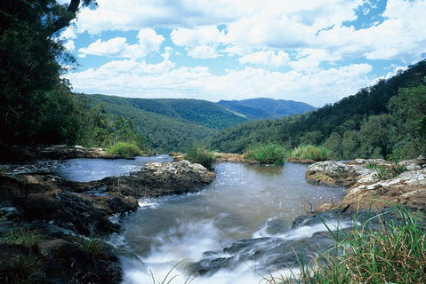Springbrook National Park & Gold Coast Full Day Luxury Tour From Brisbane - Surfers Paradise Gold Coast 2