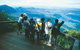 Springbrook National Park & Gold Coast Full Day Luxury Tour From Brisbane - thumb 3