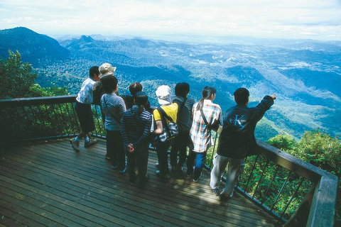 Springbrook National Park & Gold Coast Full Day Luxury Tour From Brisbane - Surfers Paradise Gold Coast 3