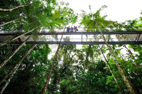 Daintree Discovery Centre Family Pass Ticket - Surfers Paradise Gold Coast 3
