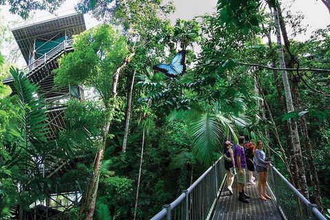 Daintree Discovery Centre Family Pass Ticket - Surfers Paradise Gold Coast 2