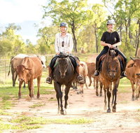 Ride the Outback at Ironbark House Dimbulah Horse Riding - Surfers Paradise Gold Coast