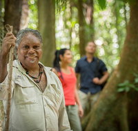 Mossman Gorge Dreamtime Tour - Surfers Paradise Gold Coast