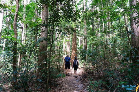Pack-free Camping: Blue Lakes Eco Hike - 3 Days - Surfers Paradise Gold Coast 1