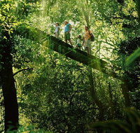 Tamborine Lamington OReillys - Rainforest  Wildlife Tour - Surfers Paradise Gold Coast