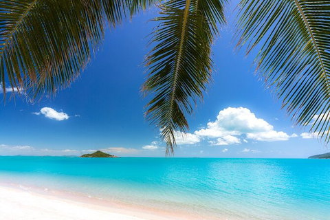 Rainforest To Reef Experience - Reef And Beyond Guided Holidays - Surfers Paradise Gold Coast 1