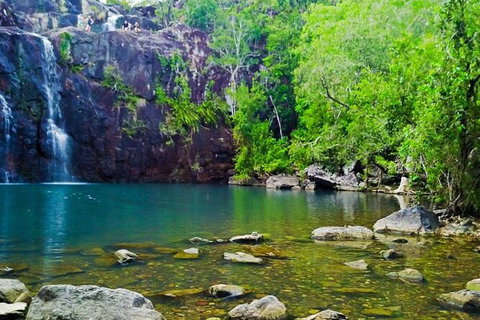 Rainforest To Reef Experience - Reef And Beyond Guided Holidays - Surfers Paradise Gold Coast 5