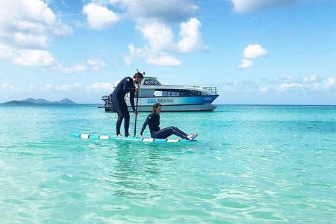 Rainforest To Reef Experience - Reef And Beyond Guided Holidays - Surfers Paradise Gold Coast 3