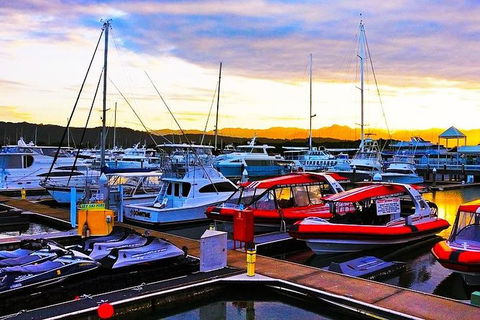 Airport Transfer - Cairns Airport To Port Douglas - Surfers Paradise Gold Coast 1