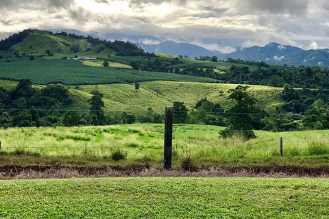 Tableland Tasting Tour - Surfers Paradise Gold Coast 0