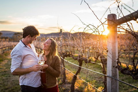 Stanthorpe Winery Experience - Surfers Paradise Gold Coast 0