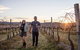 Stanthorpe Winery Experience - thumb 10