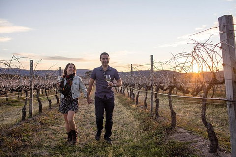 Stanthorpe Winery Experience - Surfers Paradise Gold Coast 10