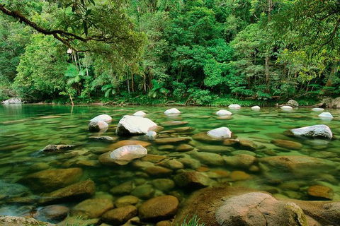 SHUTTLE - Mossman Gorge & Cooya Beach From Port Douglas (Return Transfer) - Surfers Paradise Gold Coast 3