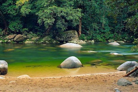 SHUTTLE - Mossman Gorge & Cooya Beach From Port Douglas (Return Transfer) - Surfers Paradise Gold Coast 1