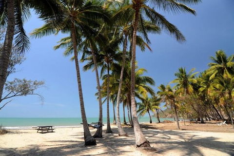 SHUTTLE - Thala Beach And Turtle Cove From Port Douglas (Return Transfer) - Surfers Paradise Gold Coast 2