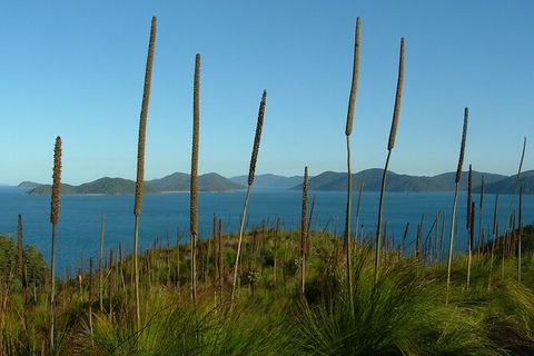 7-Day Private Sea Kayaking In Whitsundays - Surfers Paradise Gold Coast 8