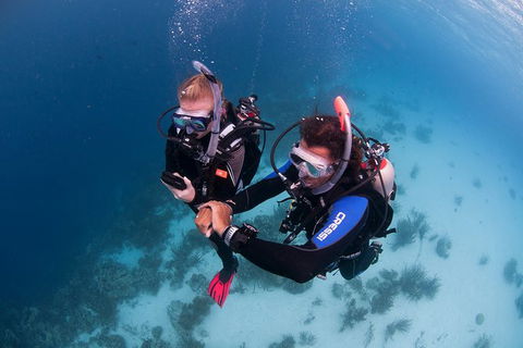 PADI Diving Courses On The Gold Coast - Surfers Paradise Gold Coast 5