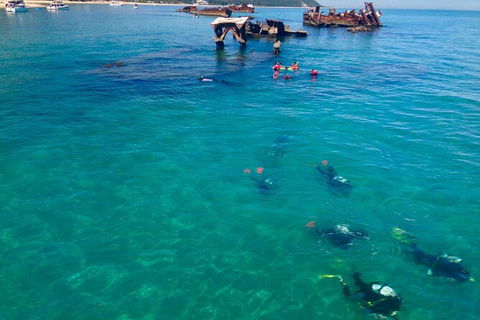Adventure Moreton Island Scuba Dive Tour - Surfers Paradise Gold Coast 0