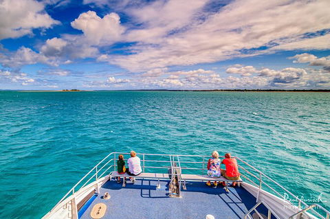 Sandy Straits Scenic & Wildlife Cruise - Surfers Paradise Gold Coast 7