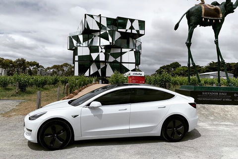 Adelaide Airport Arrival Transfer OR Tour In A Tesla Model3 EV - Surfers Paradise Gold Coast 3