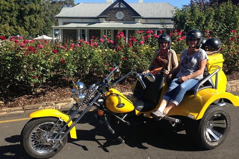 Unique Trike Barossa Valley Half Day Private Tour For 2 - Surfers Paradise Gold Coast 5