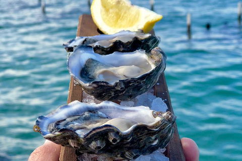Coffin Bay Oysters, Ocean & Nature Tour - Surfers Paradise Gold Coast 0