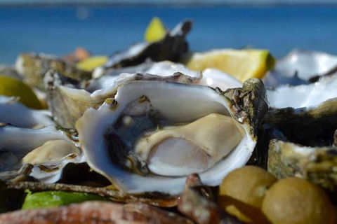 Coffin Bay Oysters, Ocean & Nature Tour - Surfers Paradise Gold Coast 8