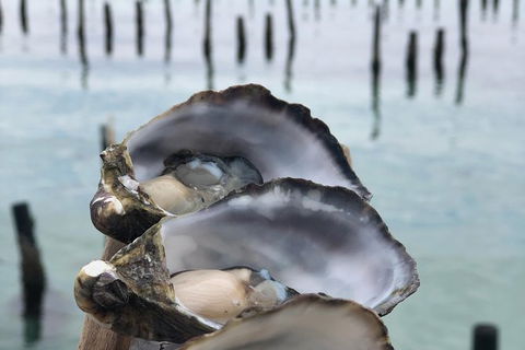 Coffin Bay Oysters, Ocean & Nature Tour - Surfers Paradise Gold Coast 6