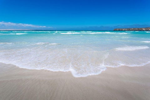 Coffin Bay Oysters, Ocean & Nature Tour - Surfers Paradise Gold Coast 14